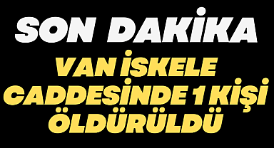 Van İskele Caddesinde 1 kişi öldürüldü