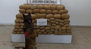 Van'da 486 kg Toz esrar operasyonu