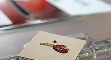 Seçim tarihiyle ilgili yeni açıklama