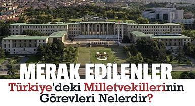 Türkiye'deki Milletvekillerinin Görevleri Nelerdir?