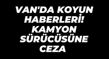 Van'da koyun haberleri! Kamyon sürücüsüne ceza 