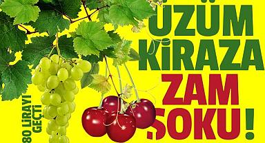 Van'da Üzüm ve Kiraza Zam! 80 lirayı geçti