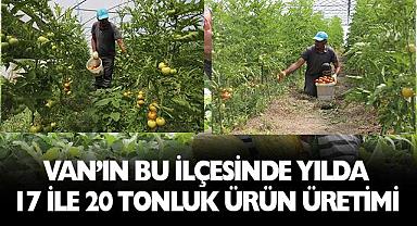 Van'ın bu ilçesinde yılda 17 ile 20 tonluk ürün üretimi