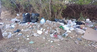 Van'da duyarlı vatandaş, yerlere atılan çöpe isyan etti