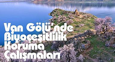 Van Gölü'nde Biyoçeşitlilik Koruma Çalışmaları