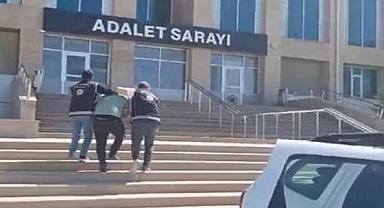 Göçmen Kaçakçılığı Ağına Büyük Darbe!