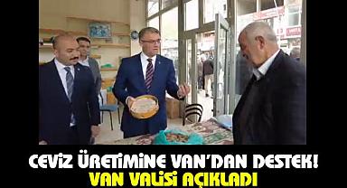Ceviz üretimine Van’dan Destek! Van Valisi Açıkladı
