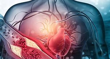 Hayat Kurtaran Bir Karar: Organ Bağışı