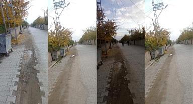 Van'da bu mahalle yetkililere seslendi