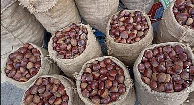 Van'da Kestane Fiyatlarına Tekrar Zam