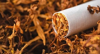 Van'da tiryakiler tütüne sardı