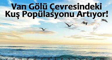 Van Gölü Çevresindeki Kuş Popülasyonu Artıyor!