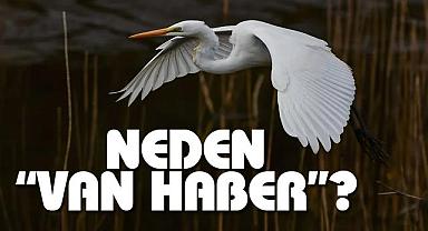 Van Haber: Van Gazetesi'nin Özgün İçerikleriyle Van'ı Anlamak