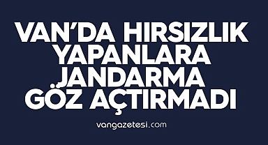 Van'da Hırsızlık Yapanlara Jandarma Göz açtırmadı