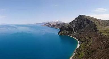 Van Gölü'nde Endemik Bir Tür Keşfedildi