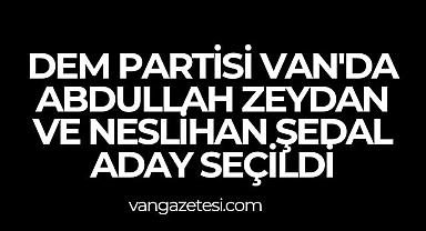 Dem Partisi Van'da Abdullah Zeydan ve Neslihan Şedal aday
