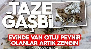 Evinde 'Van Otlu Peynir' olanlar artık zengin
