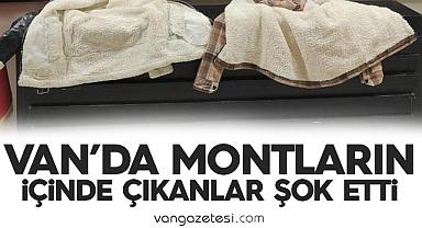 Van'da montların içinde çıkanlar şok etti