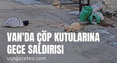 Van'da çöp kutularına gece saldırısı