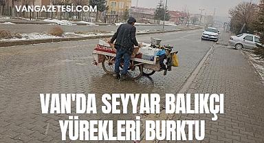 Van'da seyyar balıkçı yürekleri burktu