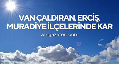 Van Çaldıran, Erciş, Muradiye ilçelerinde kar
