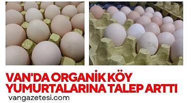 Van'da Organik köy yumurtalarına talep arttı