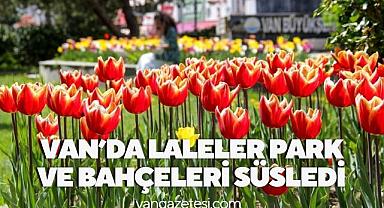 Van'da 100 bin lale soğanı açtı - Van Haber 