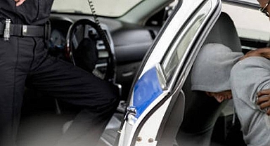 Van'da 3 Organizatör Tutuklandı
