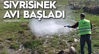 Van'da Sivrisinek Avı Başladı
