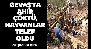 Van Gevaş'ta Ahır Çöktü, Hayvanlar Telef Oldu