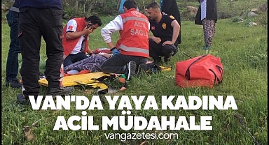 Van'da yaya kadına acil müdahale