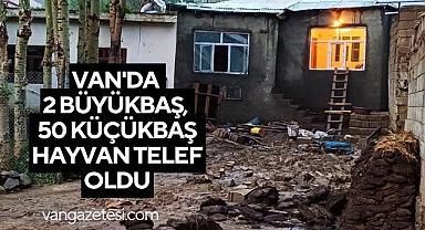 Van'da 2 büyükbaş, 50 küçükbaş hayvan telef oldu