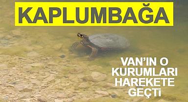 Van'ın o kurumları harekete geçti