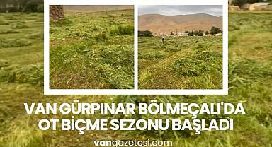 Van Gürpınar Bölmeçalı'da Ot Biçme Sezonu Başladı