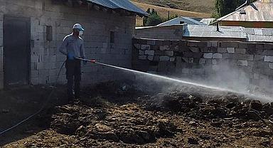 Van'da bit ve pire istilasına uğrayan ilçeler ilaçlandı