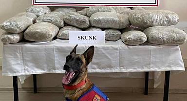 Van'da 28.574 Gram Skunk Ele Geçirildi