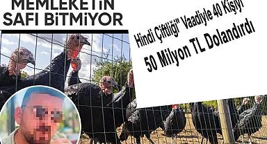 Memlekette Tosuncuklar Bitmiyor