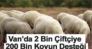 Van’da 2 Bin Çiftçiye 200 Bin Koyun Desteği 