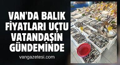 Van'da balık fiyatları uçtu - Vatandaşın Gündeminde