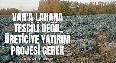 VAN'A LAHANA TESCİLİ DEĞİL, ÜRETİCİYE YATIRIM PROJESİ GEREK