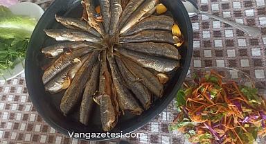 Van Balığını sevenler tıklasın