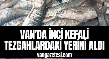 Van'da İnci Kefali Tezgahlardaki Yerini Aldı