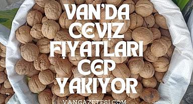 Van’da Ceviz Fiyatları Cep Yakıyor