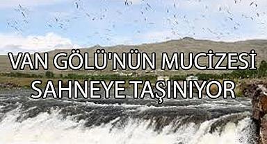 İnci Kefali Festivali Başlıyor!