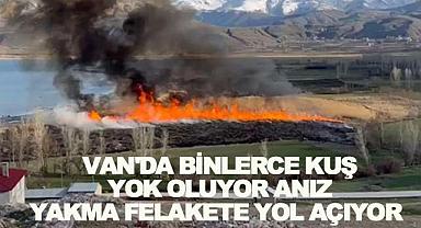 Van'da Anız Yakma Ekosistemi Tehdit Ediyor