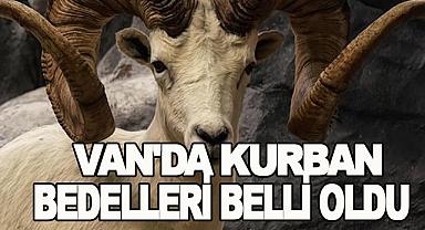 Van’da Kurban Bedelleri Belli Oldu
