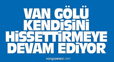 Van Gölü'nde Tehlikeli Dalgalar!