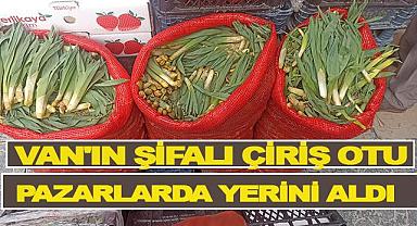 Van’ın Şifalı Çiriş Otu Pazarlarda