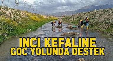İnci Kefaline Göç Öncesi destek