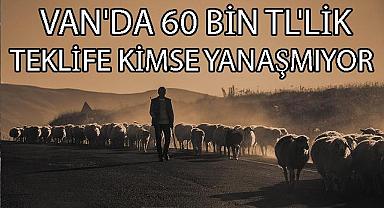 Van'da 60 Bin TL’lik Teklife Kimse Yanaşmıyor